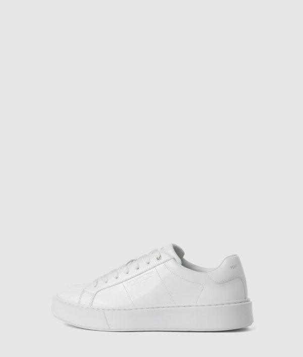 Amberarchives.shop80230a6a14 1