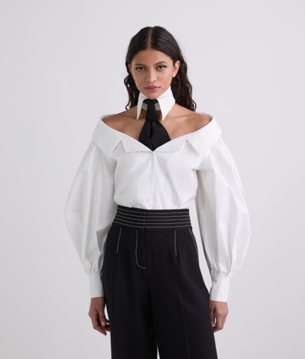 Amberarchives.shopa09433eddd 1