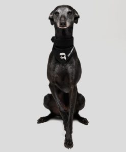 Amberarchives.shopfe7d05221d 2