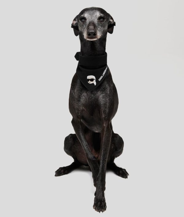 Amberarchives.shopfe7d05221d 2